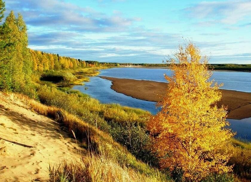 Река Ижма Республика Коми. Ухта река и Ижма. Река Печора осень Республика Коми. Река Цильма Коми. Река печора республика коми