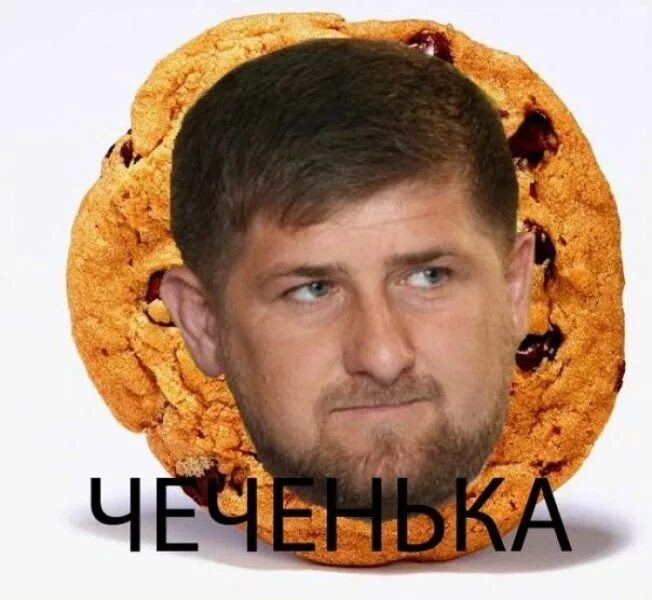 рамзан кадыров. приколы про кадырова. рамзан кадыров. смешной кадыров. смешной кадыров.
