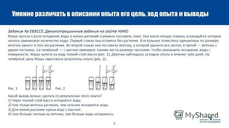Решил поставить эксперимент. Решил поставить эксперимент