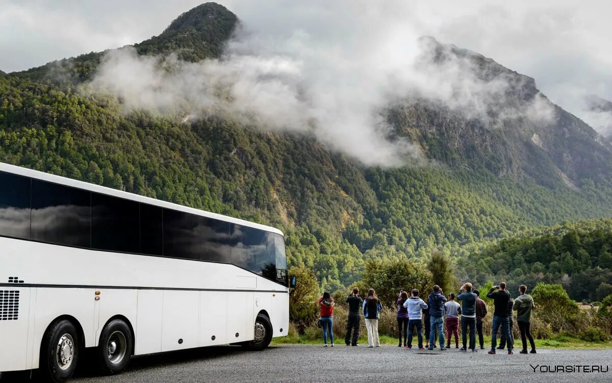Многодневные автобусные туры. Автотур Грузия. Автобусный тур. Туристический автобус. Автобус для путешествий.