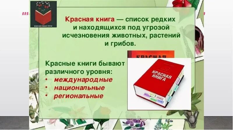 Красная книга какая она. Красные книги различных уровней. Международная красная книга. Региональная красная книга. Красная книга список.