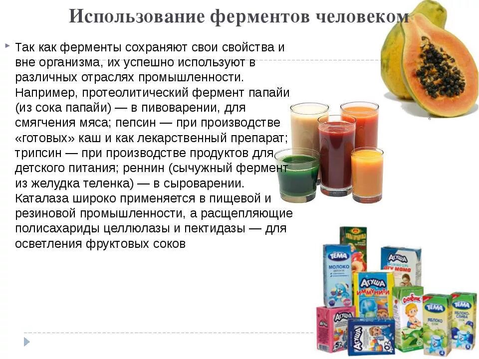 Биотехнология. Папаин растительный протеолитический фермент. Использование организмов в производстве продуктов. Технология пищевой промышленности. Ферменты в пищевой промышленности.