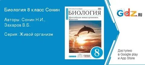 Биология 8 класс с дельфином