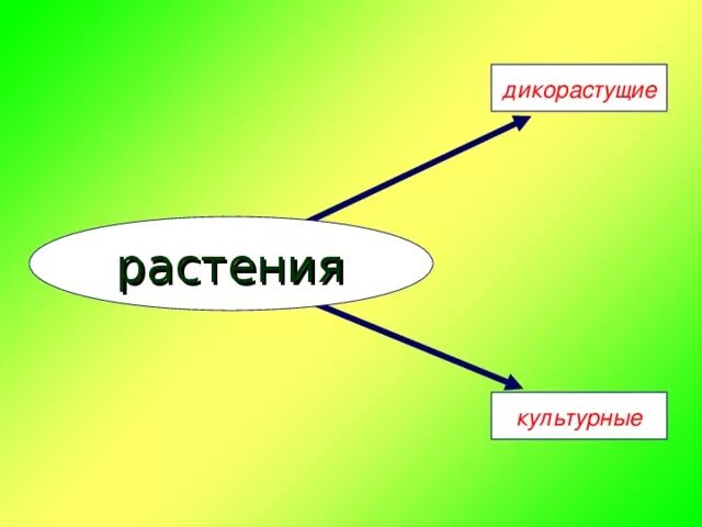 Практическая работа 3 класс окружающий мир растениеводство. Дикорастущие и культурные растения задания.