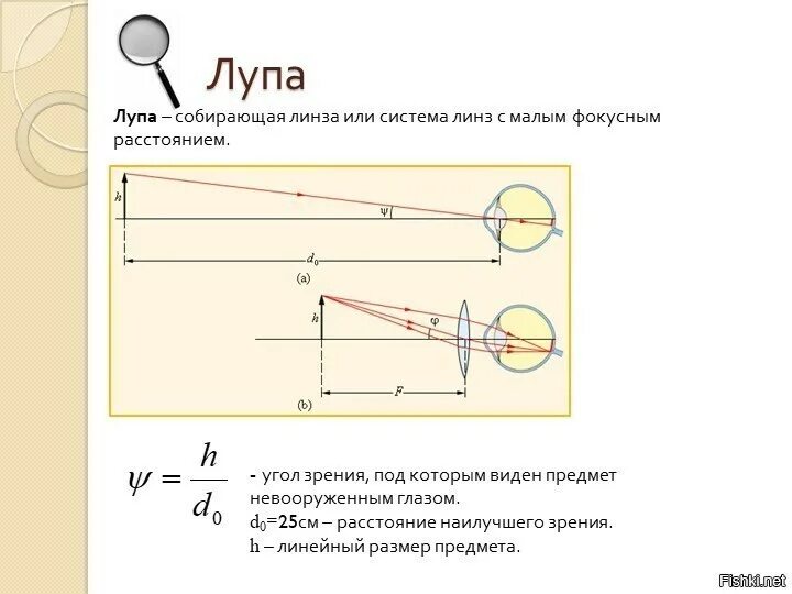 Собирающая линза в качестве лупы дает