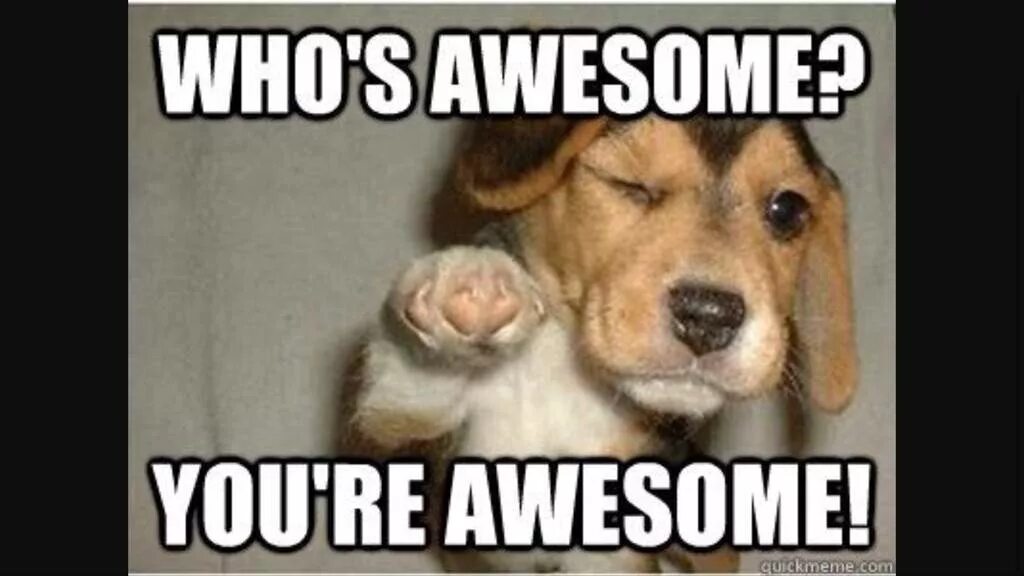 You are awesome. Are awesome перевод на русский. Awesome перевод. Awesome перевод. Are awesome перевод на русский.