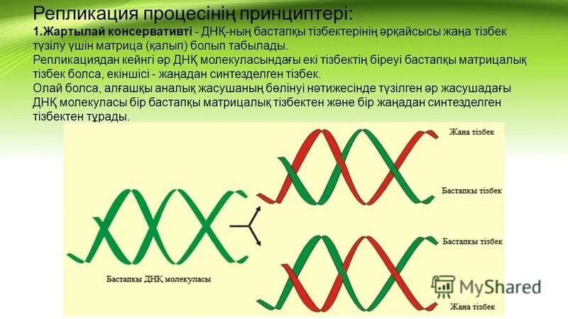 Матрица репликации. Матрица репликации