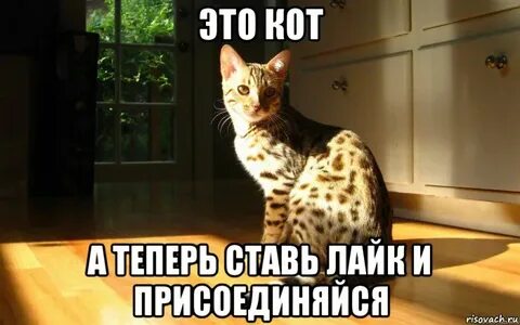 Теперь поставить