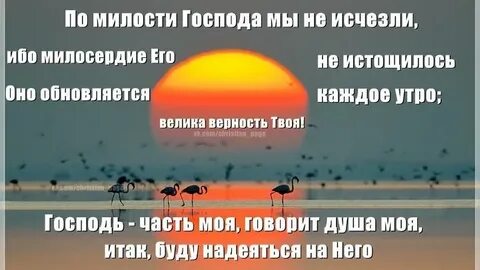 Милость твоя надо мной велика