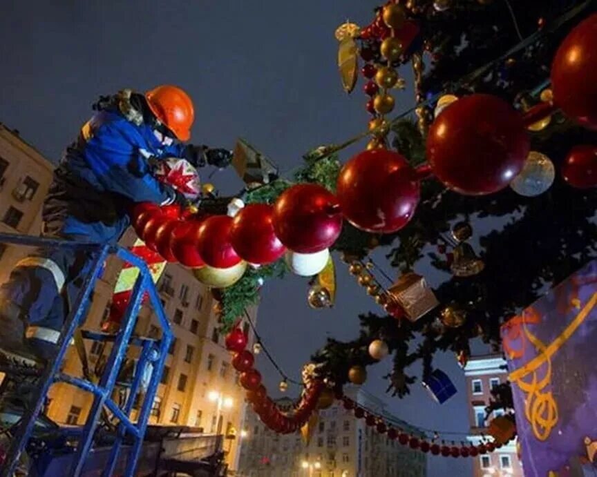 установка новый год. установка новый год. елка живая. новый год праздник елка. уличная елка.