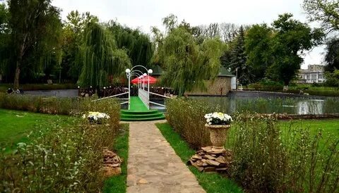 Сады луганск