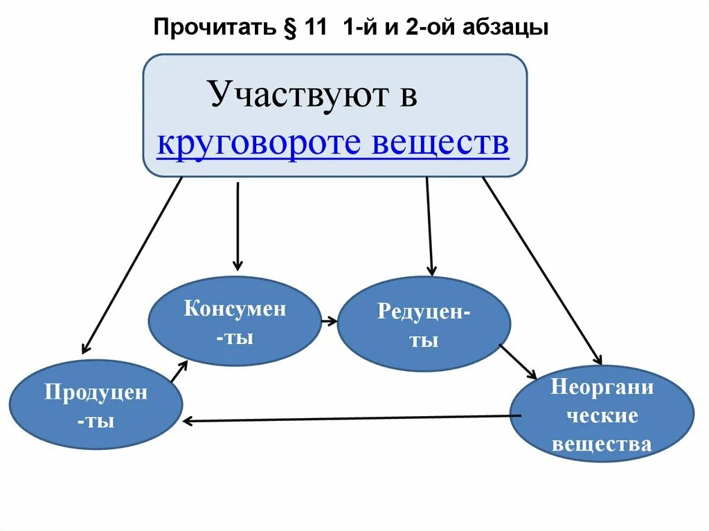 Роль редуцентов в круговороте веществ. Участие в круговороте веществ. Вещества участвующие в круговороте веществ. Участие в круговороте веществ. Вещества неучавствующие в круговороте.