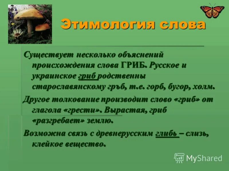 предложение со словом грибница. предложение про грибы. предложения про осень. ёжик увидел гриб. презентация, к слову, гриб.
