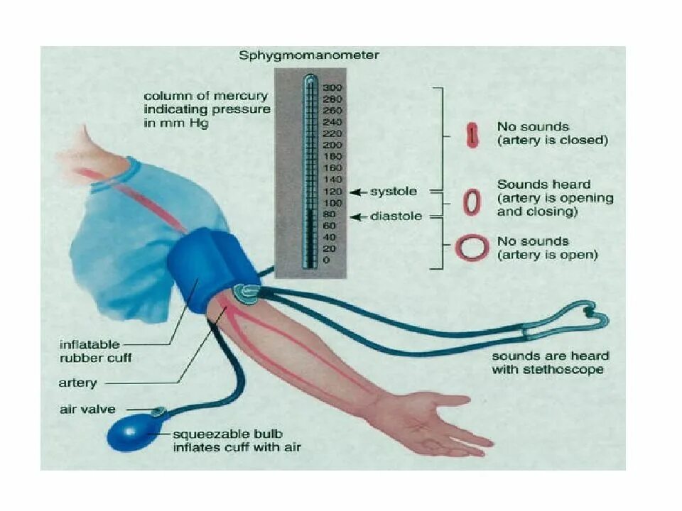 Манипуляция давлением. Измерение давления и пульса. Измерение ад и пульса. Исследование пульса измерение ад. Исследование пульса измерение ад алгоритм.