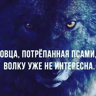 Не интересна