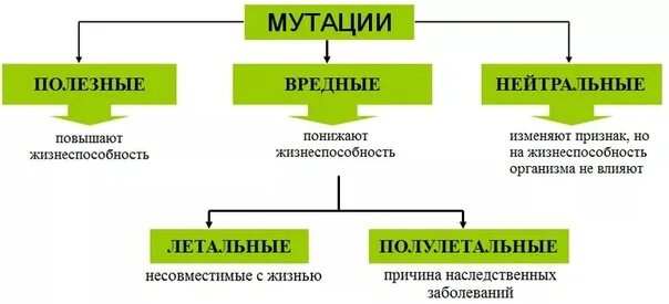 Мутации полезные вредные нейтральные. Типы генных мутаций. Примеры нейтральныхных мутаций. Вредные мутации примеры. Генеративные изменения