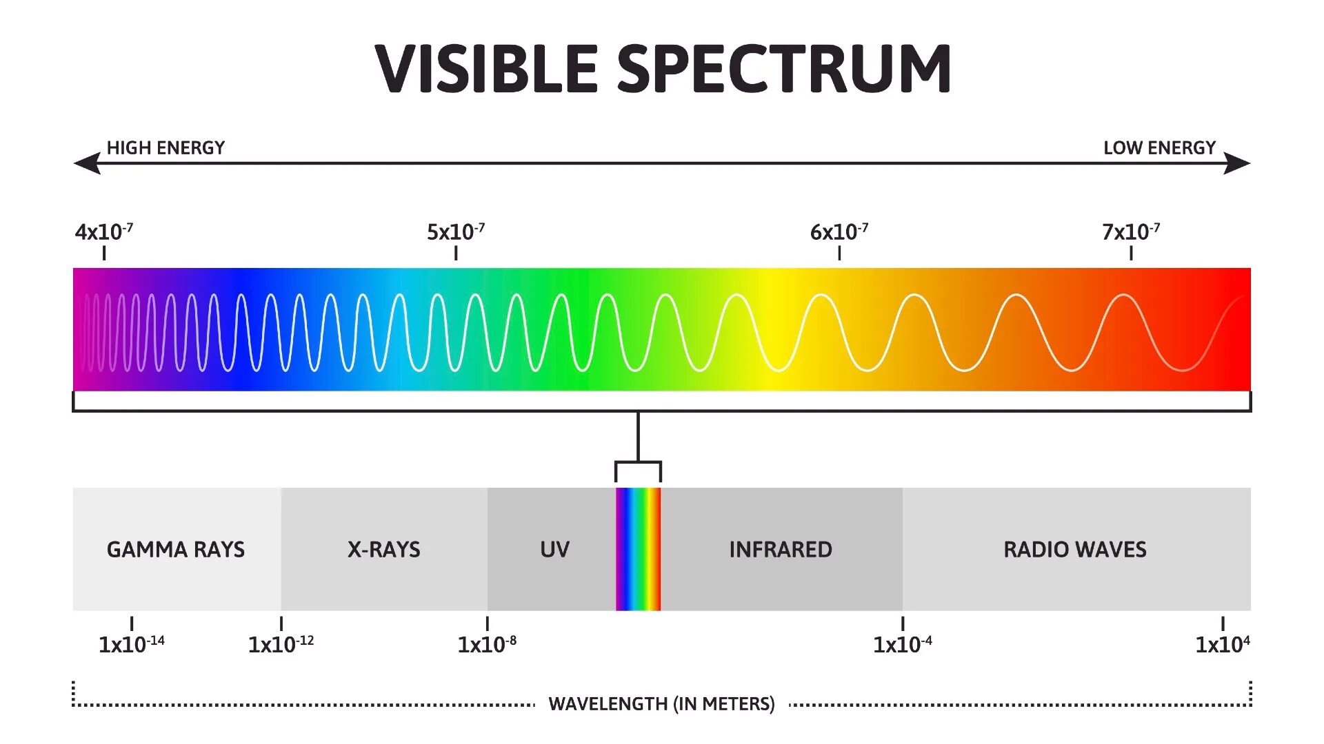 Visible range. Spectrum of visible light light. Visible spectrum. Radiation intensity. Visible light spectrum.