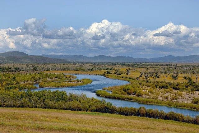 Река в монголии и забайкалье. Река Онон Монголия. Река Онон Забайкальского края. Монголия Керулен чеиболсан.