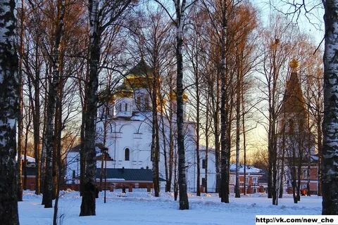 Биография череповец
