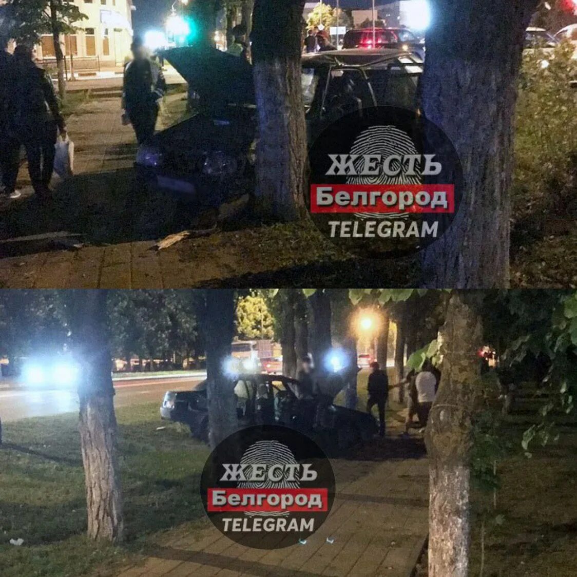 Новости белгорода телеграм жесть