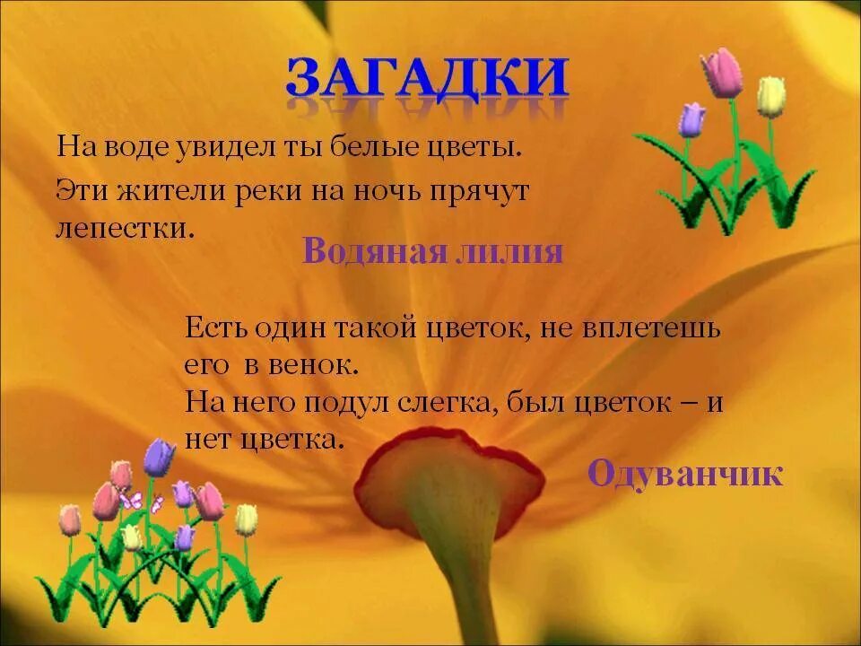 Загадки про весну. Загадки по биологии. Загадки на тему биология. Загадки про цветы. 5 загадок по биологии