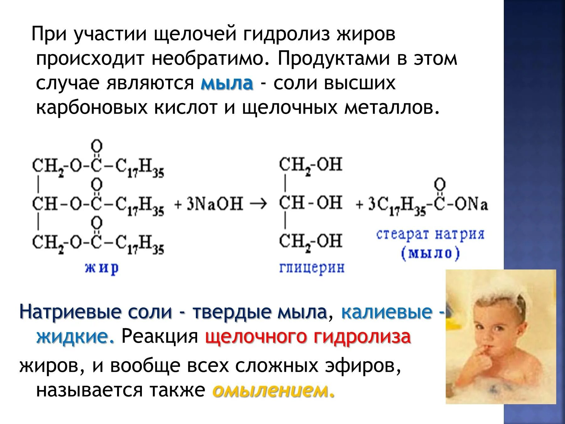 Гидролиз жиров происходит в. Реакция щелочного гидролиза жиров. Щелочной гидролиз жиров. Гидролиз натриевых солей высших жирных кислот. Почему щелочной гидролиз жиров называют омылением