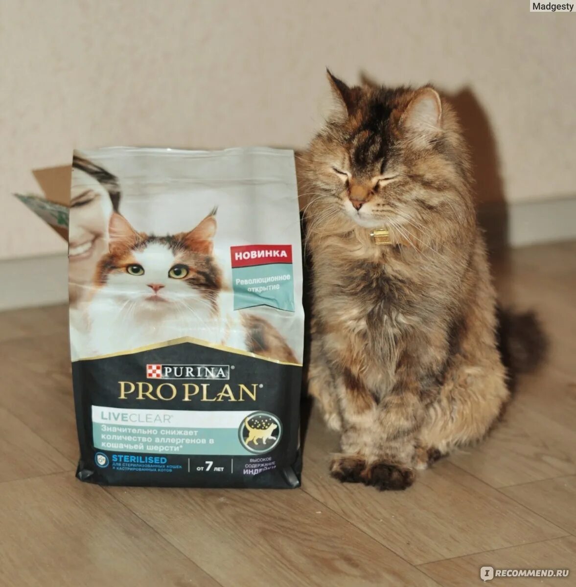 Purina Pro Plan liveclear 2020. Корм для кошек pro plan liveclear