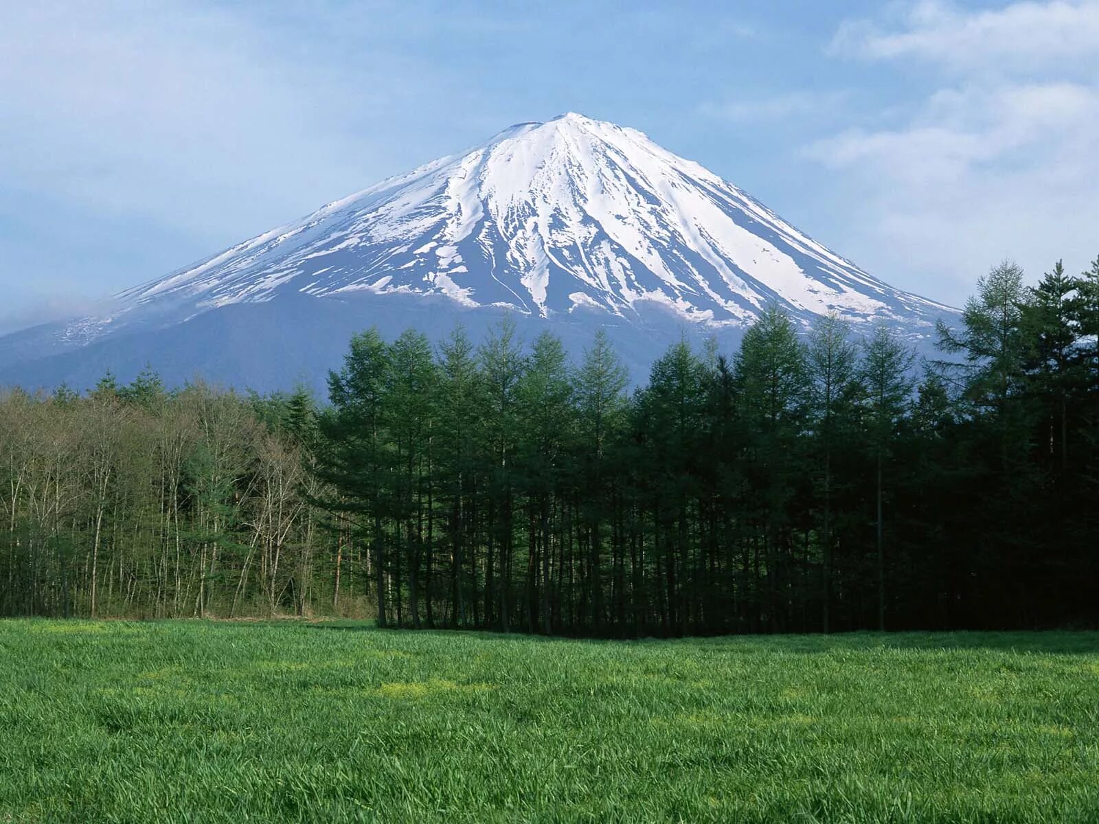Фудзияма фролы. Гора Фудзисан. Фудзияма Япония. Гора Фудзи в Японии. Лес у горы Фудзи в Японии.