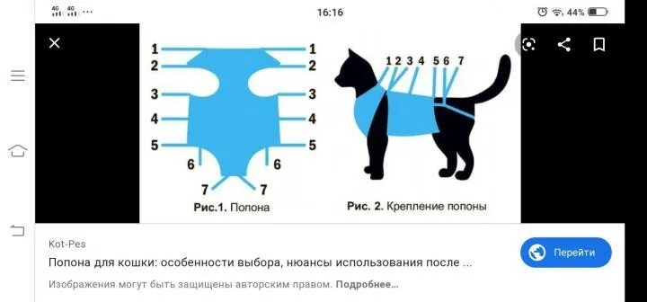 Через сколько можно снять попону. Попона для кошки. Как правильно завязать попону кошке. Схема надевания попоны на кошку. Как завязать поьпону кошки.