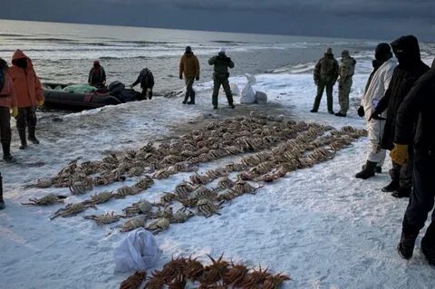Остров сахалин татарский пролив