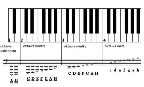 Басовые октавы фортепиано