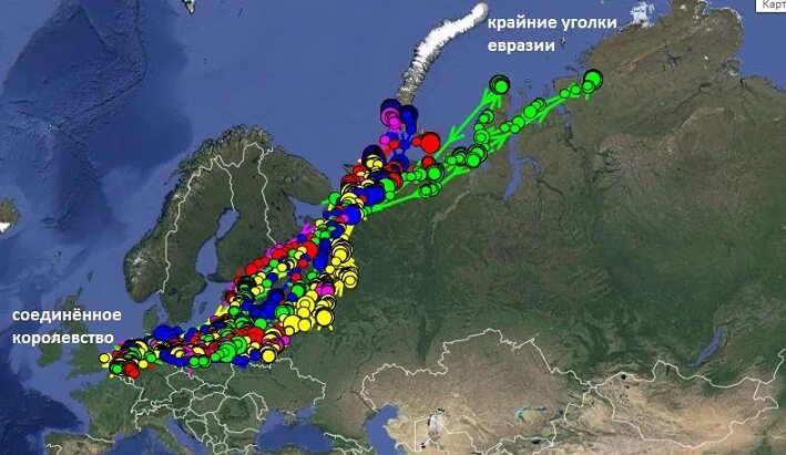 Пролет гуся. Карта миграции гусей в России. Пути миграции гусей в России. Путь миграции белолобого гуся в России. Пути миграции гуся весной на карте России.