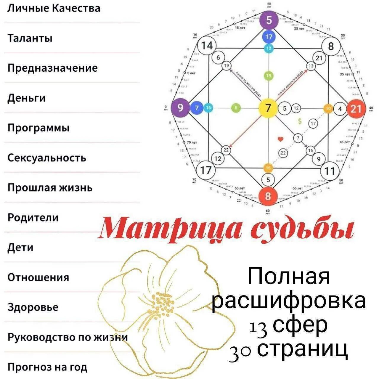 Кармическое предназначение по дате. Матрица судьбы Натальи Ладини 17.11.1935. Матрица судьбы Натальи Ладини книга. Матрица судьбы предназначение расшифровка. Расшифровка матрицы судьбы расшифровка матрицы судьбы.