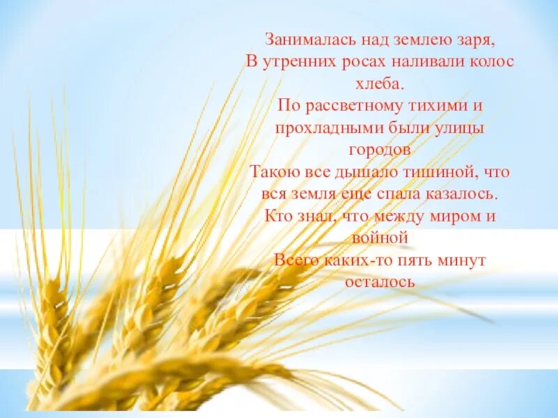 Колосья хлеба. Стихи про колосья. От колоска до каравая презентация. Колосья открытка. Тихая и теплая заря занималась над землей