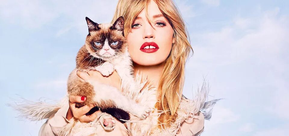 Кот и дева. Девушка с котом. девушка с котом на руках. джорджия кэт.