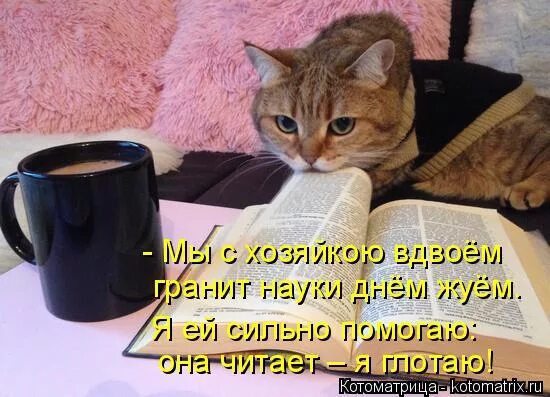 Гранит читать книгу. Гранит читать книгу