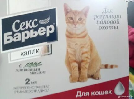 Успокоительные для кошки во время течки