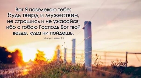 Ибо надлежит тому быть