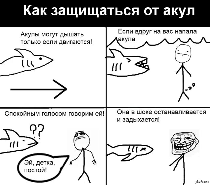 Металлическая сетка от акул. Мотивация на тему акулы. Как защититься от акулы. Как защититься от нападения акул. Памятка для туристов отдыхающих на побережье морей и океанов.