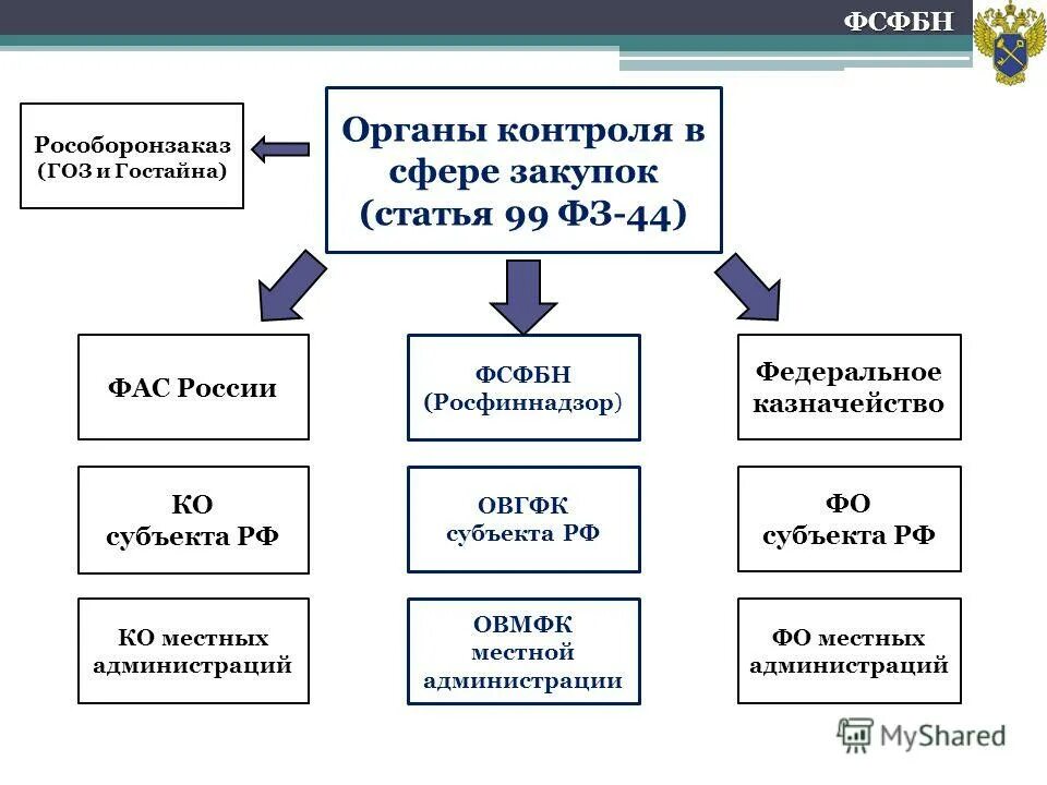 Кто курирует россию. Органы финансового контроля госзакупок. Схема органов финансового контроля. Органы муниципального финансового контроля в РФ. 44 ФЗ для контролирующего органа.