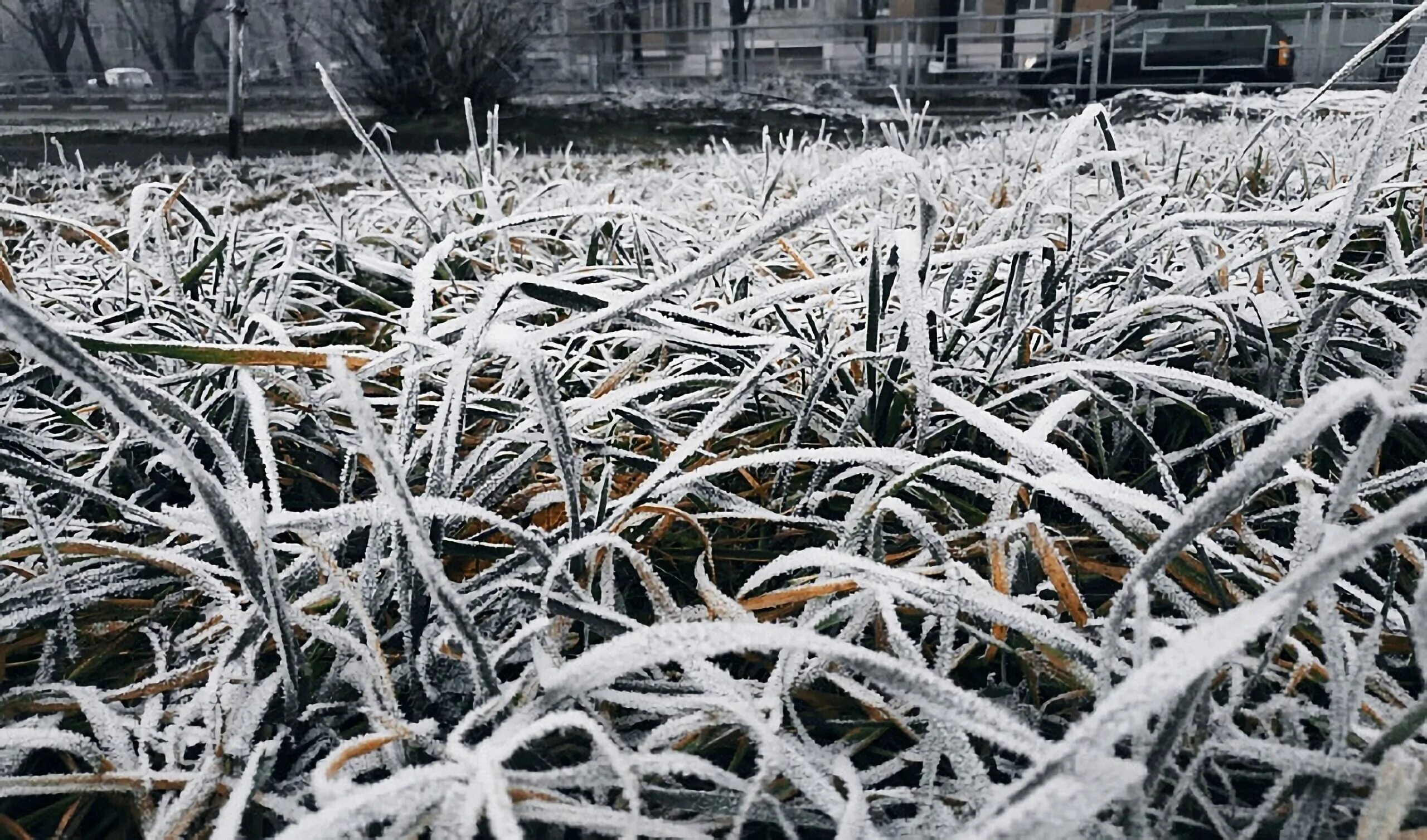 Заморозки. Заморозки МЧС. Майские заморозки. Заморозки на почве.