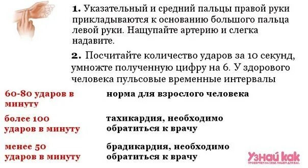 Как измерить пульс за 10. Как посчитать пульс на руке. как правильно мерить пульс на руке самостоятельно. как правильно проверить пульс на руке самостоятельно. как измерить пульс на руке самостоятельно.