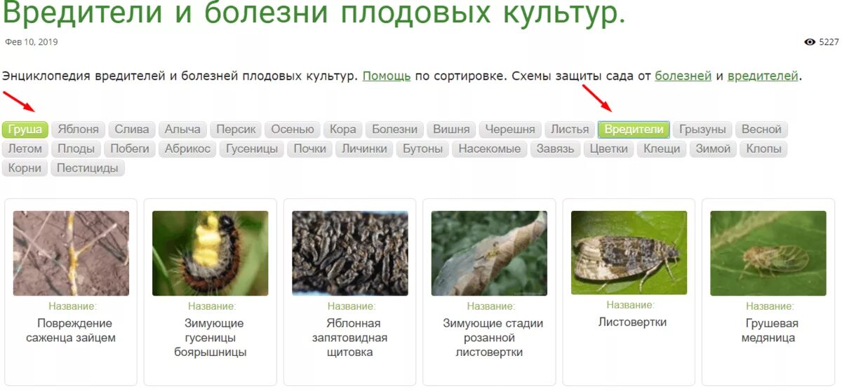 Вредители плодовых садов. Вредители плодовых культур. Вредители яблони. Болезни и вредители яблони. Болезни и вредители груши.