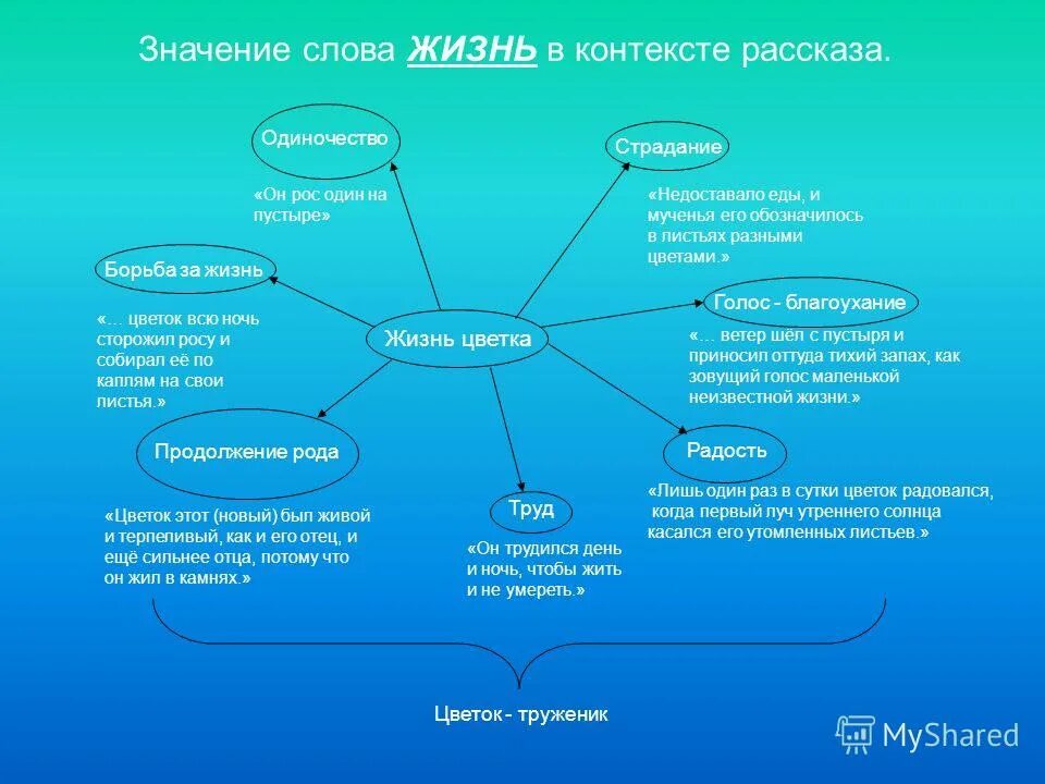 Нова слова для развития