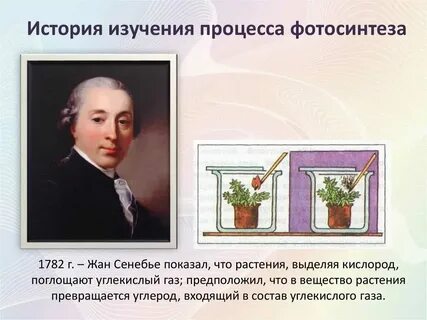 Ботаническая наука изучает фотосинтез