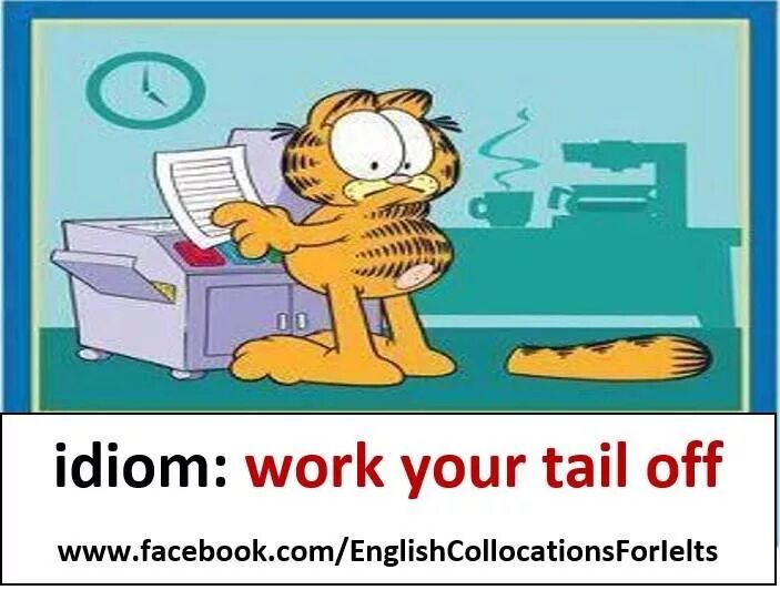 Work idioms. Old hand идиома. Idioms about work and job. Working idioms. He works very hard