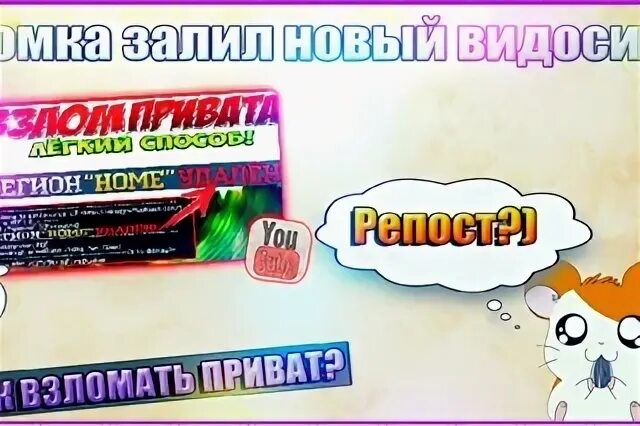 Комбо хомяк ежедневный шифр