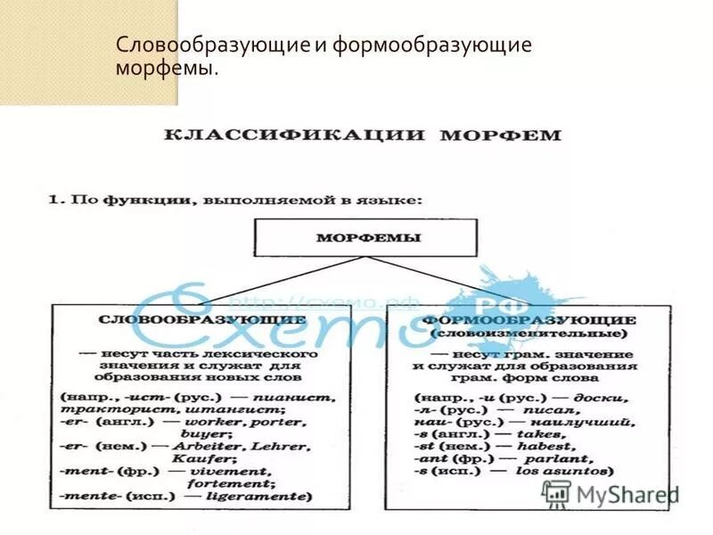 Формообразующие и словообразующие морфемы. Форма образующие мафемы.