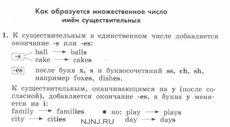 Множественное слово family. Правило сущ во мн числе англ яз. Множественное число имен существительных в англ яз. Множественное число имен сущ в англ. Правило мн число сущ в английском.