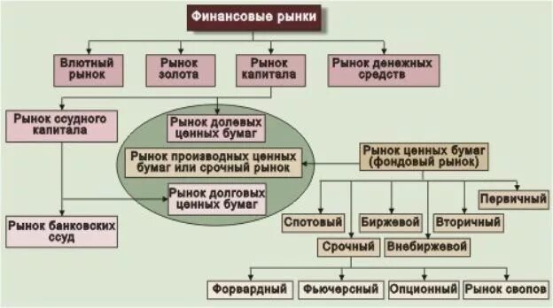 Финансовый рынок и финансовые посредники 8 класс